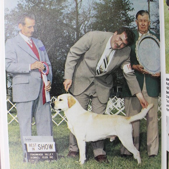 Book: The Labrador Retriever by Dorothy Howe - Picture 7 of 10